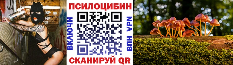 KRAKEN зеркало  Оренбург  Псилоцибиновые грибы MAGIC MUSHROOMS 